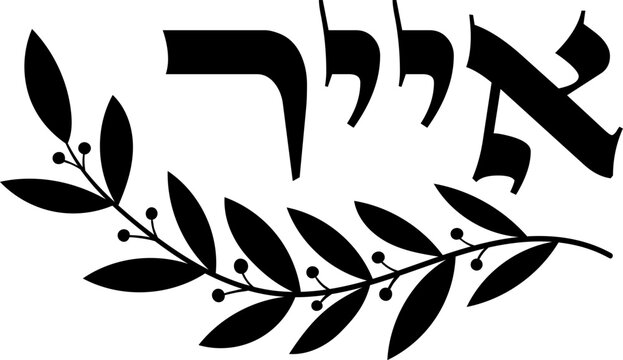 Hebrew month &ldquo;אייר&rdquo; (Iyar) with decorative laurel branch, black vector illustration on transparent background