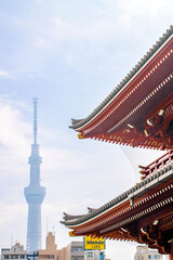 Fototapeta premium 浅草寺