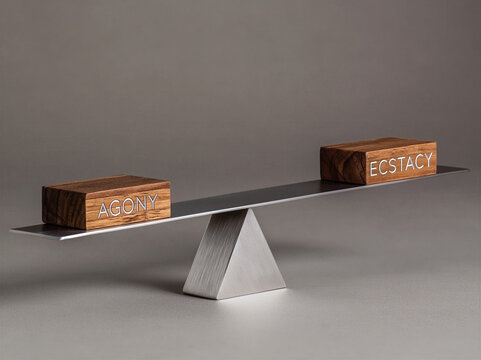 simple scales, small Wooden blocks with the word AGONY and ECSTACY embossed onto the surface, Design concept, thought provoking