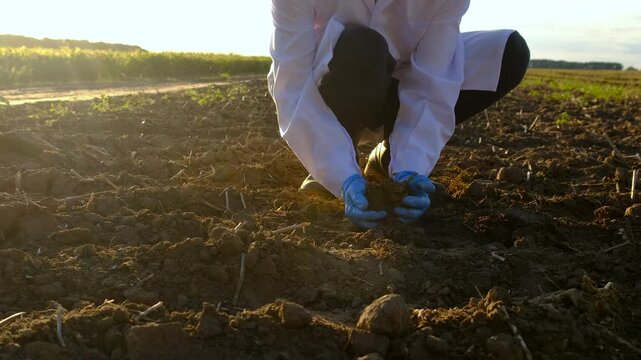 Field soil samples for analysis. Selective focus.