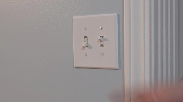 White light switch plate on a light blue wall. Two toggle switches are visible. The wall has smooth texture. Clean interior detail for home or office spaces