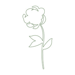 A minimalist green line art illustration of a single flower on a tall stem with two distinct leaves. The drawing is clean and simple, presented against a plain white background. © okskukuruza
