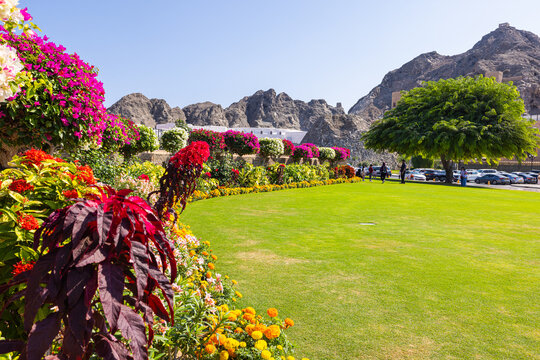 Muscat, Oman &ndash; December 28, 2025: Green garden and open plaza area in front of Al Alam Palace, the official palace of the Sultan of Oman, located in the historic district of Muscat and surrounded by r