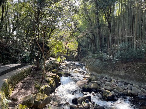 湯河原の川