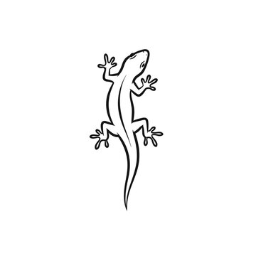Detailed drawing of a lizard creature.