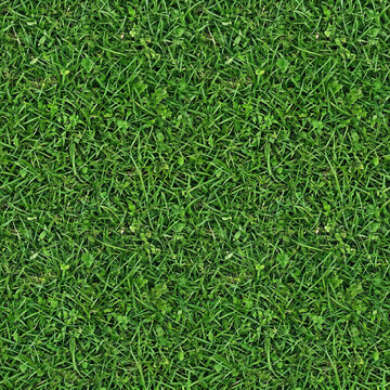 High-resolution photorealistic seamless texture of dense green grass and clover from a top-down perspective. Perfect for 3D modeling and architectural visualization