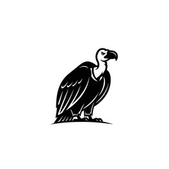 Naklejka premium Black and white vulture standing alone.