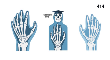 Fototapeta premium A vector graphic illustration of a skeleton wearing a graduation cap with hands showing different palm orientations.