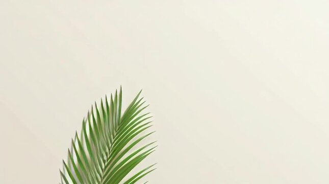 A solitary green palm leaf, a minimalist beige background, and the serif text "Palm Sunday"