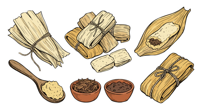 Hand drawn vector set of traditional Mexican tamales wrapped in corn husks, unwrapped tamale with meat filling, masa dough on wooden spoon, and salsa bowls.
