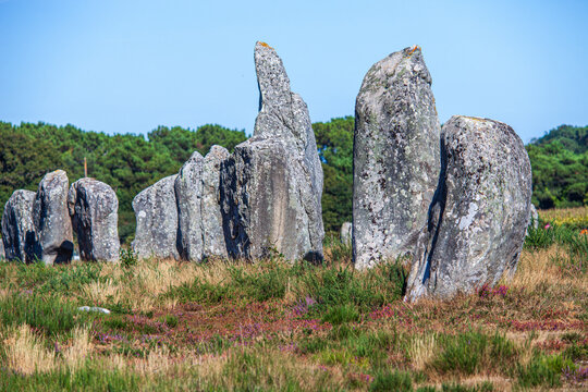 Historic Menec Megalithic Alignment, Carnac, Morbihan, Brittany, France