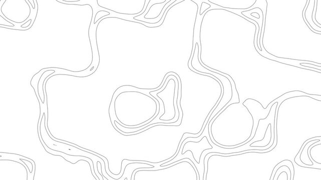 Abstract Black and White Topographic Contour Line Animation on White Background