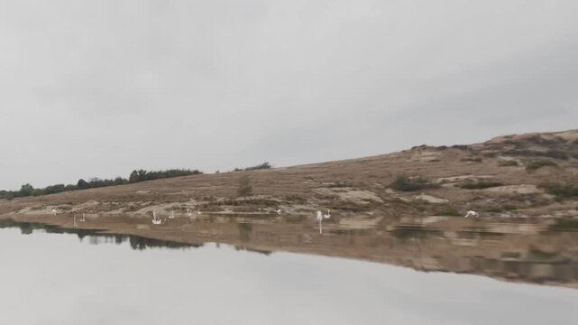Realistic 3D animation of the beginning of a rain shower, with water droplets hitting the surface of a lake shore that ripples after the impacts.