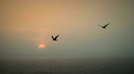 Fototapeta premium serene seaside sunrise with flying birds