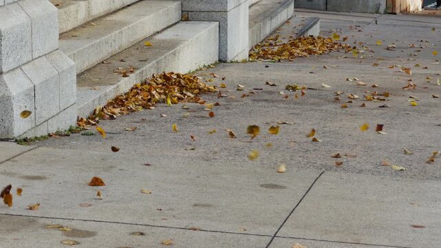 dynamic shot: dry colorful autumn leaves blow and dance in gentle wind on city sidewalk in Halifax, Nova Scotia. Bright sunny day, urban fall atmosphere with buildings behind 4K.