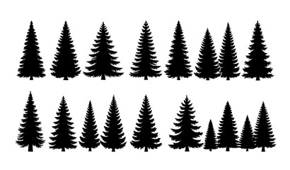 Vintage Forest Trees Silhouette Vector Set with Evergreen Coniferous Nature Collection © MdSakib