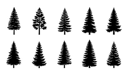 Evergreen Coniferous Forest Vintage Tree Silhouette Collection Vector Illustration © MdSakib