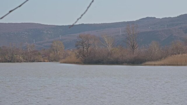 Wide View of Mtkvari River with Hills and Reeds