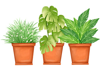 Fototapeta premium Three Potted Houseplants Illustration 