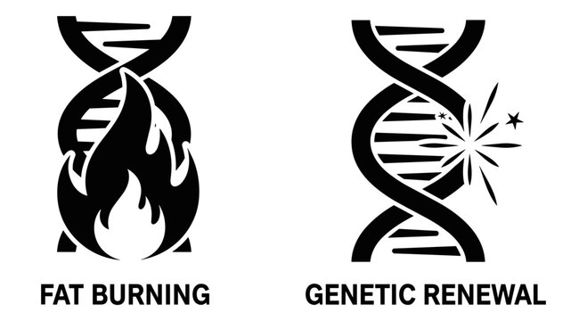 DNA icons, genetic symbols, fat burning, renewal vector graphics