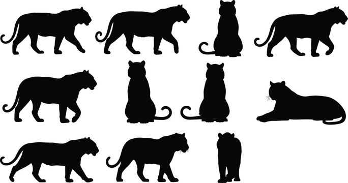 Large Group of Diverse Family Members and Children Silhouettes Holding Hands and Walking Together for Community Unity Support and Multi Generational Love Concept