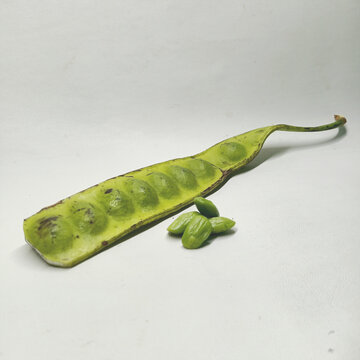 Fresh Green Stink Beans or Petai Pods with Peeled Seeds on a White Background
