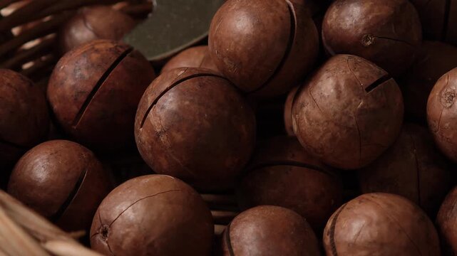 Macadamia nuts in a basket.	