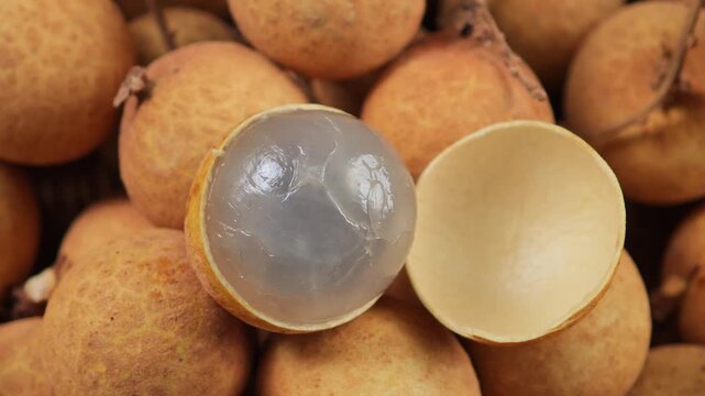 Close-up of a ripe longan fruit	