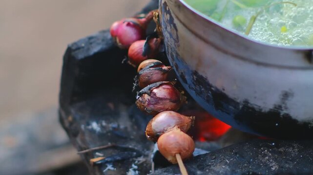 Freshly Cooked Skewers Over Glowing Charcoal Flame with Vegetables in Pot Awaiting Tasty Meal in Outdoor Setting