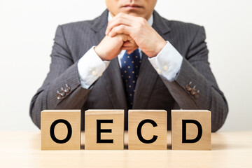 Obraz premium 「OECD」と書かれたブロックとビジネスマン
