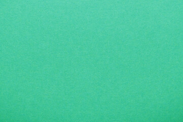 Fototapeta premium Bright Green Cardstock Paper Texture Solid Background