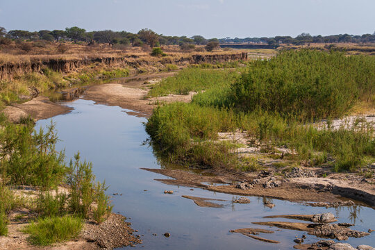 river cuts through savanna landscape in tarangire national park tanzania 