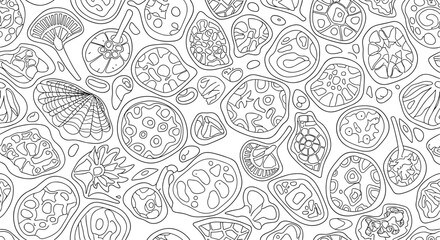 Naklejka premium A detailed vector illustration of various cells in a scientific design