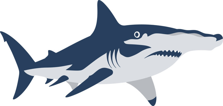 A large shark swims through ocean waters with fins and sharp teeth visible.