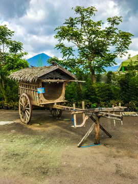 Rustic wooden wagon with thatched roof in green rural landscape with trees and mountains under cloudy sky.