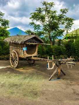 Rustic wooden wagon with thatched roof in green rural landscape with trees and mountains under cloudy sky.