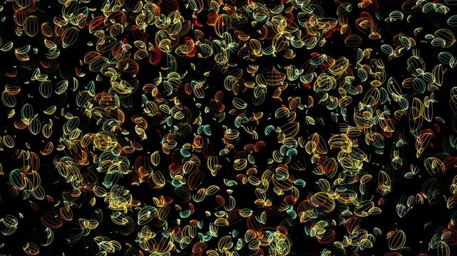 Abstract Multicolor Swirling Patterns Created in After Effects Dancing on Black Background 