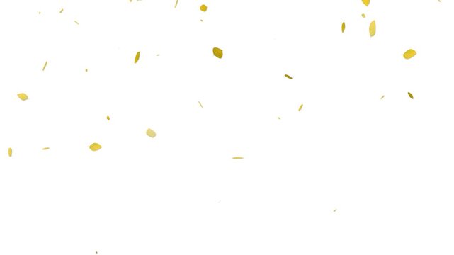 Orange autumn leaves falling down Slow motion animation