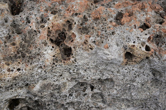 Close-up of Pumice Stone with Porous Texture