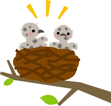 鳥の巣の中の灰色の雛鳥