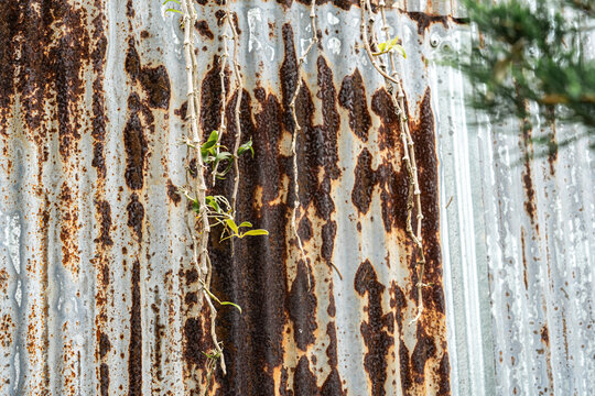 Industrial rusty background old grunge rusty zinc wall for textured background&nbsp;old rusty galvanized rust and scratched steel texture corrugated iron siding vintage background