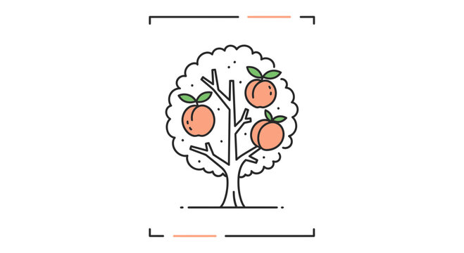 Simple Line Art Icon of a Peach Tree with Three Ripe Peaches and Green Leaves