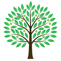 Obraz premium Amla tree illustration vector design 