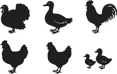 Fototapeta premium Set of black vector silhouettes featuring farm birds including a turkey duck rooster hen and ducklings isolated on white background for agricultural design