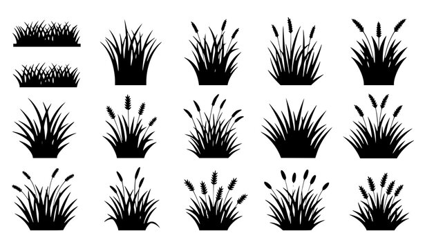A set of black silhouette vector graphics of various grass and cattail plants