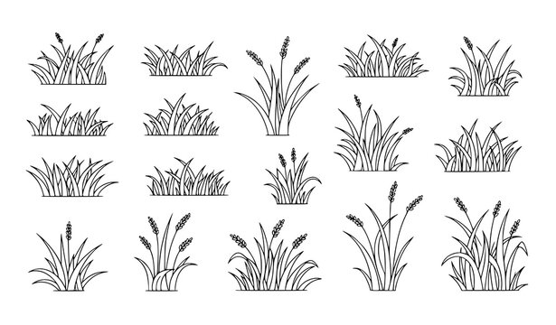 A set of minimalist vector illustrations of various cattail plants in black and white
