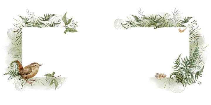 Watercolor forest frame with wren bird, fern leaves and botanical elements, woodland border, Forest Tales collection