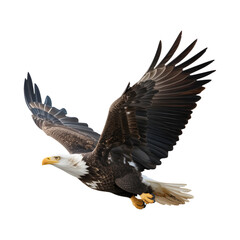 Fototapeta premium Bald eagle in flight with wings spread wide isolated on transparent background