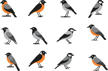 Fototapeta premium Small bird vector set with different species and poses, flat illustration collection of songbirds in minimal style isolated on white background
