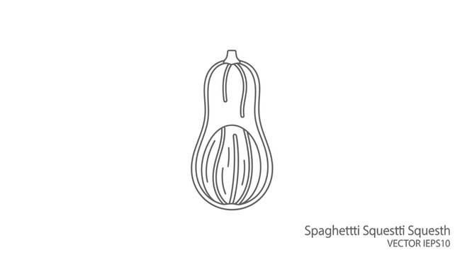 Spaghetti Squash Outline Icon Vector Illustration - Isolated on White Background